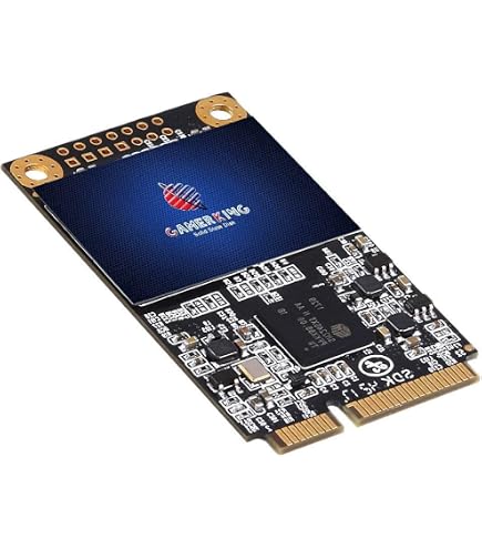 Amazon | Gamerking Msata SSD 512GB SATA III 内蔵型 Solid State